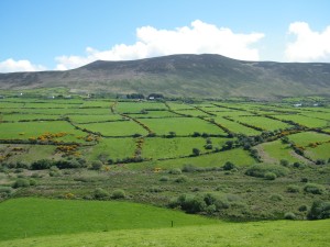 Ireland in Maytime